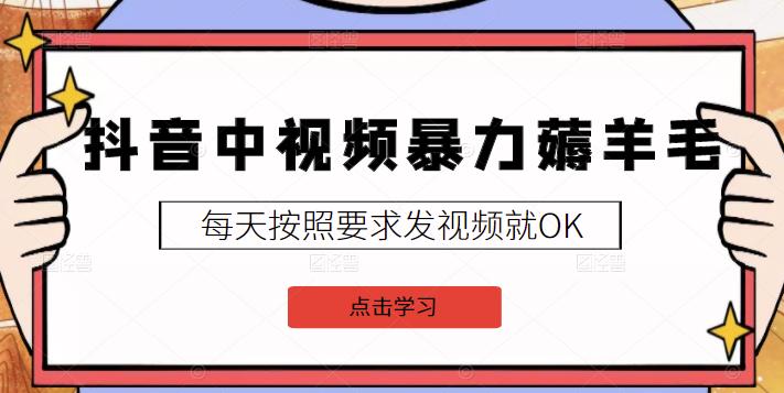 2022抖音中视频暴力薅羊毛白嫖项目：新号每天20块，老号几天几百块，可多号￼-E网资源