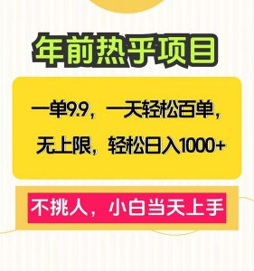 一单9.9，一天百单无上限，不挑人，小白当天上手，轻松日入1000+-E网资源