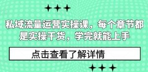 私域流量运营实操课，每个章节都是实操干货，学完就能上手-E网资源