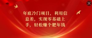 年底冷门项目，利用信息差，实现零基础上手，轻松赚个肥年钱【揭秘】-E网资源