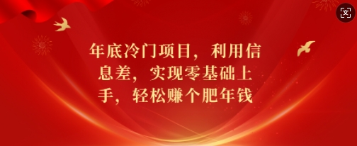 年底冷门项目，利用信息差，实现零基础上手，轻松赚个肥年钱【揭秘】-E网资源