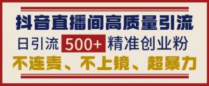 抖音直播间引流创业粉,无需连麦、不用上镜、超暴力,日引流500+高质量精准创业粉-E网资源