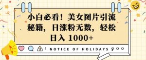 小白必看，美女图片引流秘籍，日涨粉无数，轻松日入几张【揭秘】-E网资源