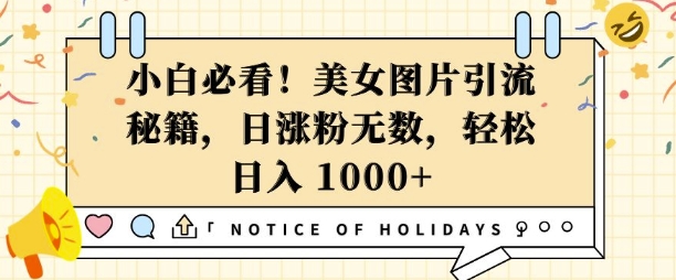 小白必看，美女图片引流秘籍，日涨粉无数，轻松日入几张【揭秘】-E网资源