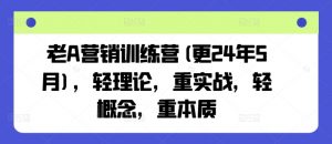 老A营销训练营(更24年12月)，轻理论，重实战，轻概念，重本质-E网资源