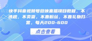 快手抖音视频号放映直播项目教程，不违规，不卖货，不靠粉丝，不靠礼物打赏，每天200-600-E网资源