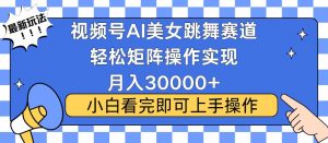 视频号蓝海赛道玩法，当天起号，拉爆流量收益，小白也能轻松月入30000+-E网资源
