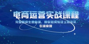 电商运营实战课程：完整解读生意参谋，教你如何有效上架宝贝，引流变现-E网资源