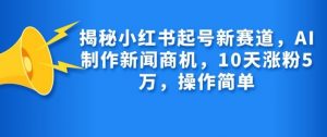 揭秘小红书起号新赛道，AI制作新闻商机，10天涨粉1万，操作简单-E网资源
