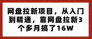 网盘拉新项目，从入门到精通，靠网盘拉新3个多月搞了16W-E网资源