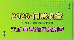 2025问卷调查最新工作室技术解密：一个人在家也可以闷声发大财，小白一天2张，可矩阵放大【揭秘】-E网资源