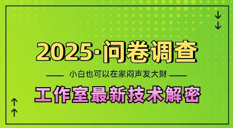 2025问卷调查最新工作室技术解密：一个人在家也可以闷声发大财，小白一天2张，可矩阵放大【揭秘】-E网资源
