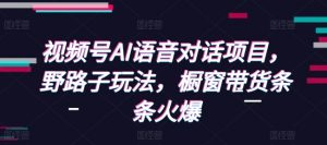 视频号AI语音对话项目，野路子玩法，橱窗带货条条火爆-E网资源