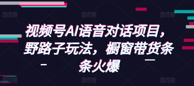 视频号AI语音对话项目，野路子玩法，橱窗带货条条火爆-E网资源