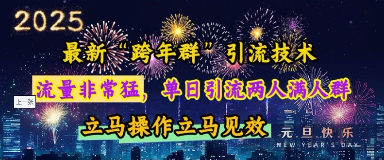 最新“跨年群”引流，流量非常猛，单日引流两人满人群，立马操作立马见效【揭秘】-E网资源