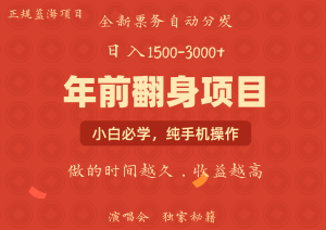 日入1000+ 娱乐项目 全国市场均有很大利润 长久稳定 新手当日变现-E网资源