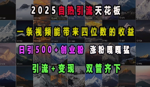 2025自热引流天花板，一条视频能带来四位数的收益，引流+变现双管齐下，日引500+创业粉，涨粉嘎嘎猛-E网资源