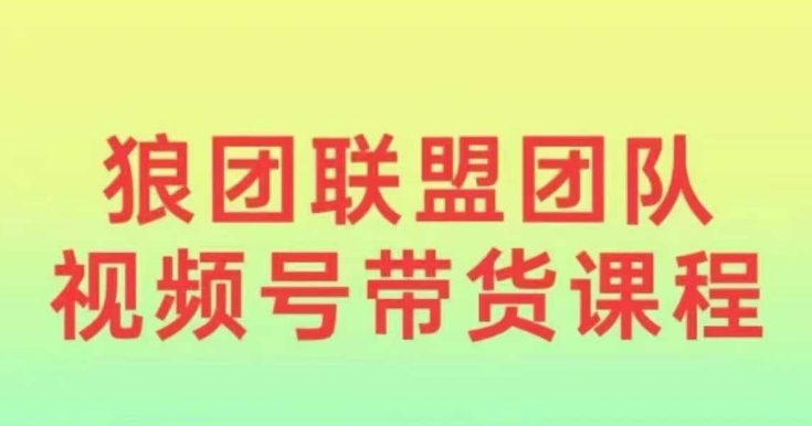 狼团联盟2024视频号带货,0基础小白快速入局视频号-E网资源