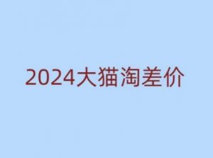2024版大猫淘差价课程，新手也能学的无货源电商课程-E网资源