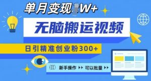 无脑搬运视频号可批量复制，新手即可操作，日引精准创业粉300+，月变现过W 【揭秘】-E网资源