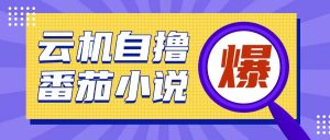 首发云手机自撸小说玩法，10块钱成本可撸200+收益操作简单【揭秘】-E网资源