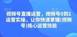 视频号直播运营，视频号0到1运营实操，让你快速掌握(视频号)核心运营技能-E网资源