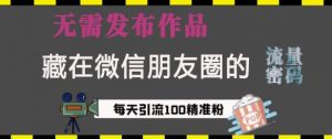 藏在微信朋友圈的流量密码，无需发布作品，单日引流100+精准创业粉【揭秘】-E网资源
