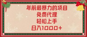年前最暴力的项目，免费代理，轻松上手，日入1000+-E网资源