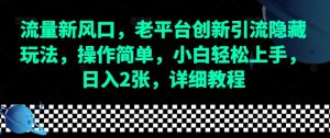 流量新风口，老平台创新引流隐藏玩法，操作简单，小白轻松上手，日入2张，详细教程-E网资源