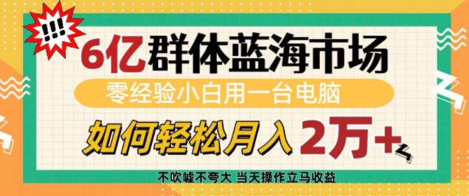 6亿群体蓝海市场,零经验小白用一台电脑,如何轻松月入过w【揭秘】-E网资源