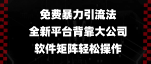 免费暴力引流法，全新平台，背靠大公司，软件矩阵轻松操作-E网资源