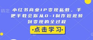 小红书商业IP变现私教，手把手教会你从0-1制作短视频到变现的全过程-E网资源