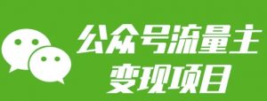 公众号流量主变现项目：每天2小时，普通人每月多挣三五千-E网资源