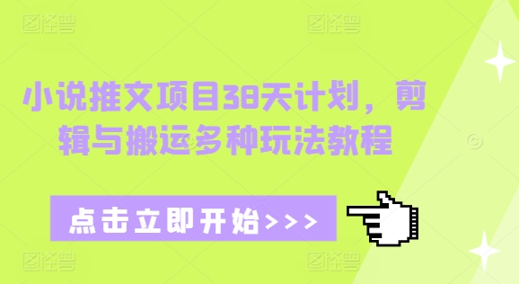 小说推文项目38天计划，剪辑与搬运多种玩法教程-E网资源