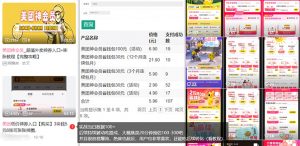 美团神券/神会员_入门级教程，外卖券膨胀推广项目【蓝海市场攻略】-E网资源