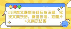 小说推文最新多种玩法详解，实况文案玩法，搬运玩法，双图片+文案玩法等-E网资源