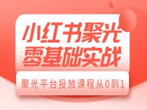 小红书聚光零基础实战，聚光平台投放课程从0到1-E网资源