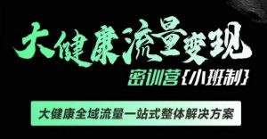 千万级大健康变现课线下课,大健康全域流量一站式整体解决方案-E网资源