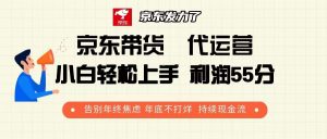 京东带货 代运营 利润55分 告别年终焦虑 年底不打烊 持续现金流-E网资源