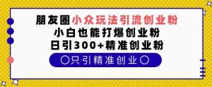 朋友圈小众玩法引流创业粉，小白也能打爆创业粉，日引300+精准创业粉【揭秘】-E网资源