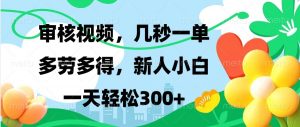 审核视频，几秒一单，多劳多得，新人小白一天轻松300+-E网资源
