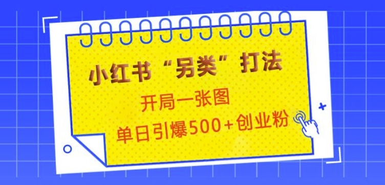 小红书“另类”打法，开局一张图，单日引爆500+精准创业粉【揭秘】-E网资源