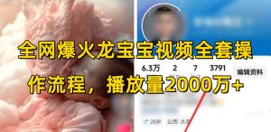 全网爆火龙宝宝视频全套操作流程，播放量2000万+-E网资源