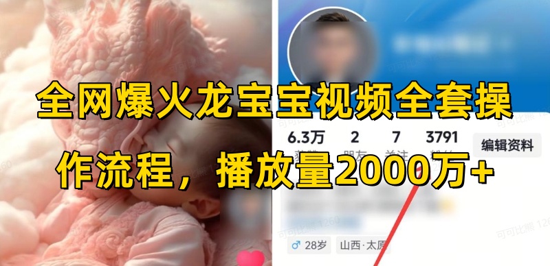 全网爆火龙宝宝视频全套操作流程，播放量2000万+-E网资源