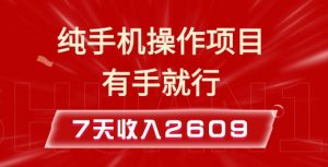 纯手机操作的小项目，有手就能做，7天收入2609+实操教程【揭秘】-E网资源