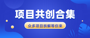 项目共创合集，从0-1全过程拆解，让你迅速找到适合自已的项目-E网资源