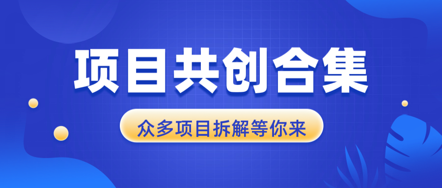 项目共创合集，从0-1全过程拆解，让你迅速找到适合自已的项目-E网资源