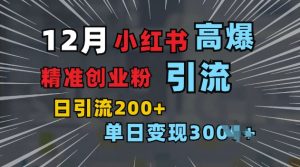 小红书一张图片“引爆”创业粉，单日+200+精准创业粉 可筛选付费意识创业粉【揭秘】-E网资源