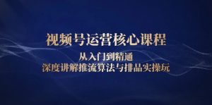 视频号运营核心课程，从入门到精通，深度讲解推流算法与排品实操玩-E网资源