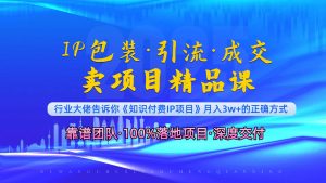 《IP包装·暴力引流·闪电成交卖项目精品课》如何在众多导师中脱颖而出？-E网资源